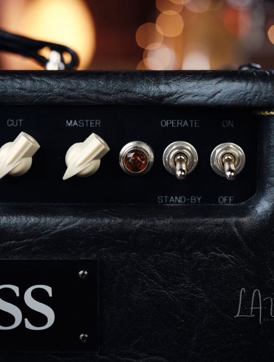 Matchless DC-30 Combo Guitar Amplifier in Black Tolex (2019 