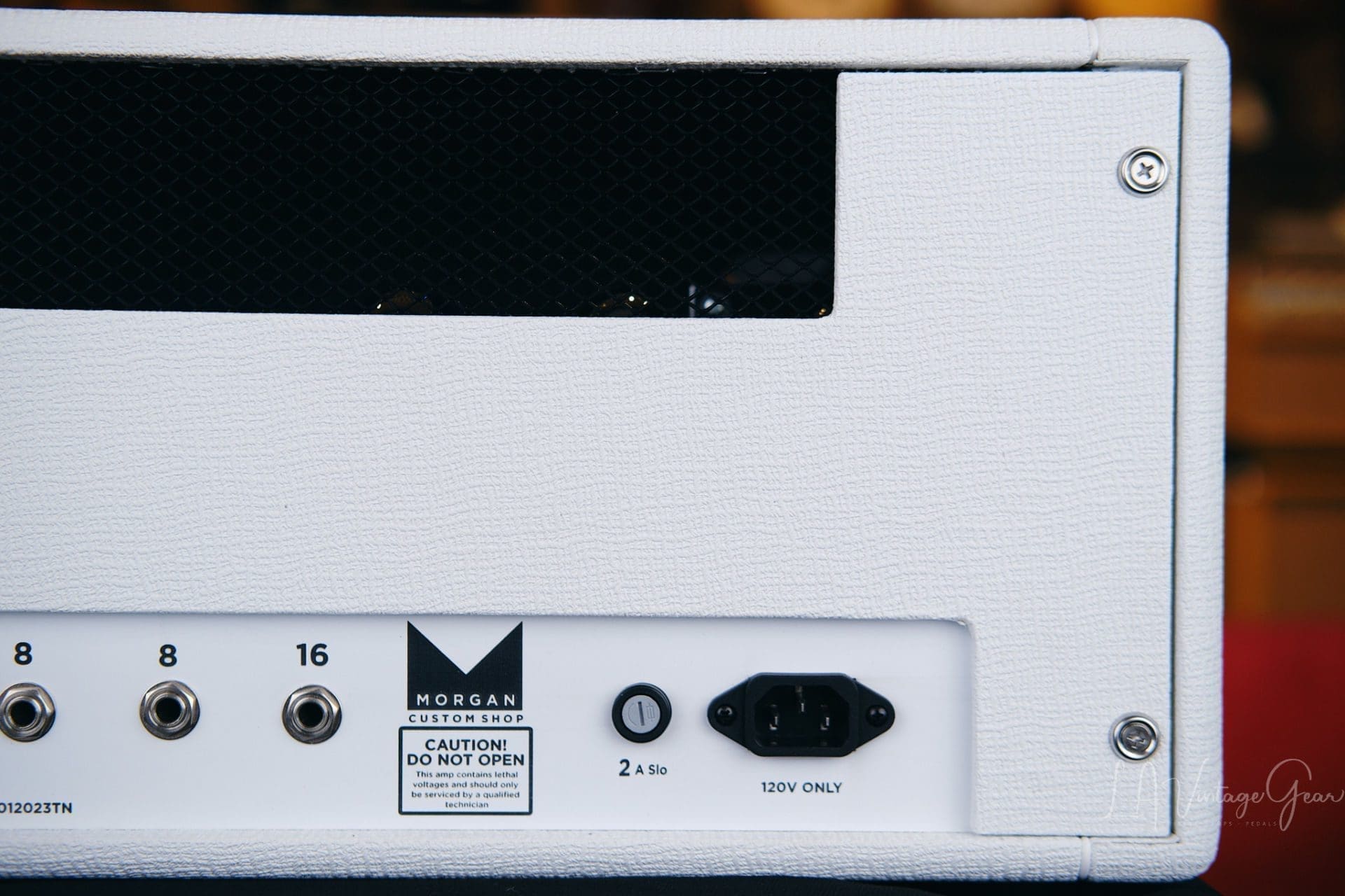 Morgan ML22 22 Watt Guitar Amp Head in White Tolex – Brand New! – LA ...