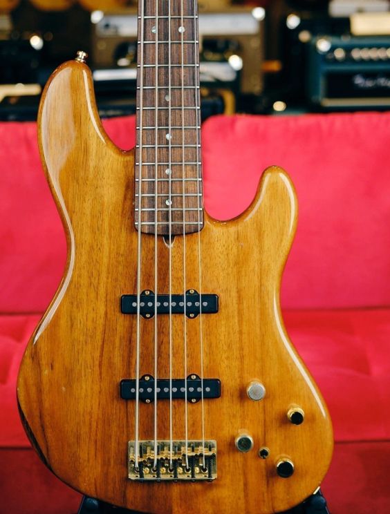 victor bailey signature bass